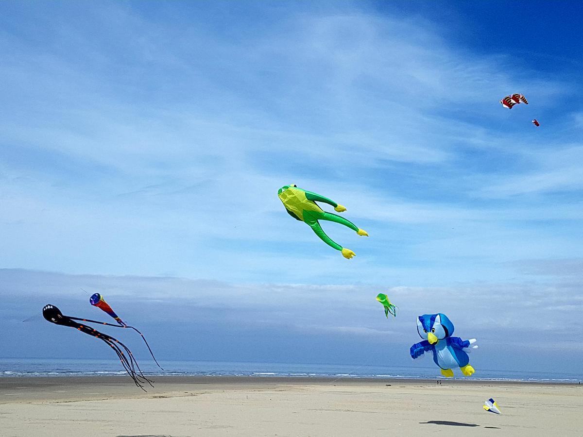 Les Coquillages, 2 Salles De Bain, Emplacement Ideal Berck Exterior photo