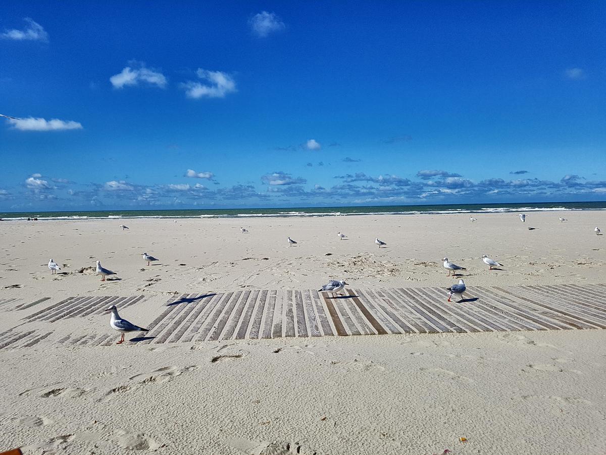 Les Coquillages, 2 Salles De Bain, Emplacement Ideal Berck Exterior photo